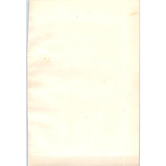 Black Redstart Bird 1903 Original Color Engraving Plate Print AD8-B8 - Picture 2 of 2